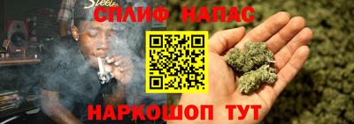 гашик Донецк