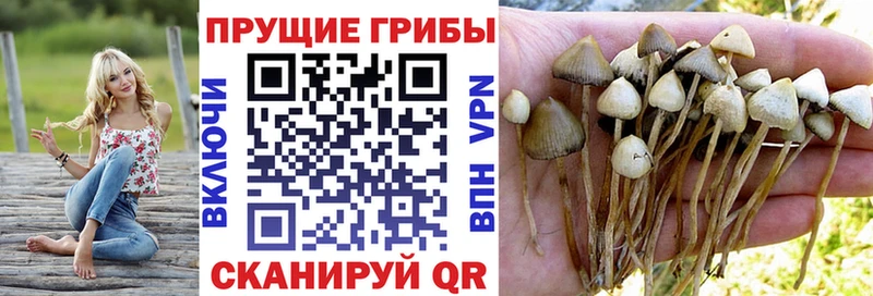 купить наркоту  Миасс  гидра ссылки  shop клад  Галлюциногенные грибы MAGIC MUSHROOMS 
